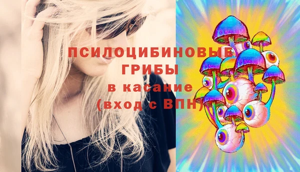 мдпв Арсеньев