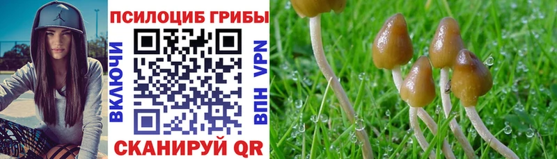 Галлюциногенные грибы мухоморы  хочу   Артёмовский 